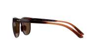 Maui Jim Wailua H454-01 49-20 Marrone
