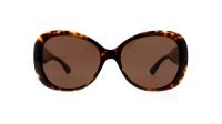 Giorgio Armani AR8132 502673 56-16 Havana Tortoise Breit Gradient Gläser
