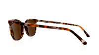 Ray-Ban Elliot RB2197 135757 52-19 Havana Brown Grey