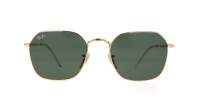 Ray-Ban Jim RB3694 001/31 53-20 Arista