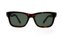 Sunglasses Ray-Ban Mr Burbank Havane Tortoise RB2283 902/31 55-20 