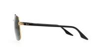 Ray-Ban RB3699 9000/31 59-18 Black on Arista