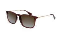 Ray-Ban Chris RB4187 6593/T5 54-18 Transparent Brown