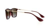 Ray-Ban Chris RB4187 6593/T5 54-18 Transparent Brown