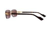 Gucci GG1221S 002 56-16 Guld