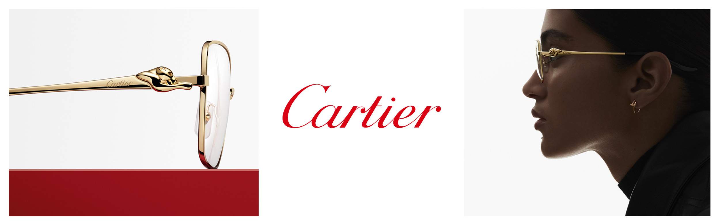 Monturen van Panthère de Cartier: optiek versterkt door sieraden